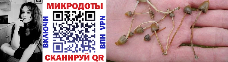 Псилоцибиновые грибы прущие грибы  Шахунья 